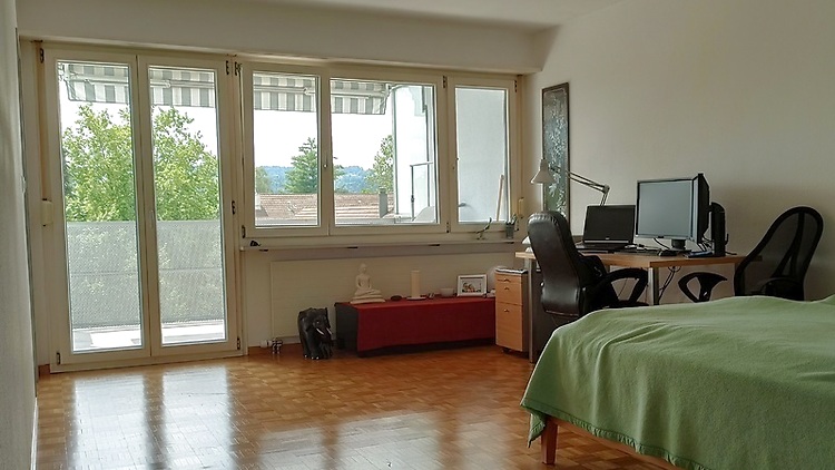 2&#189; ROOM APARTMENT IN SCHWERZENBACH (ZH), FURNISHED